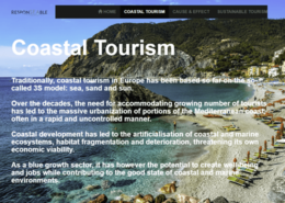 Coastal Tourism Web Story