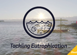 Tackling eutrophication – The Baltic Sea